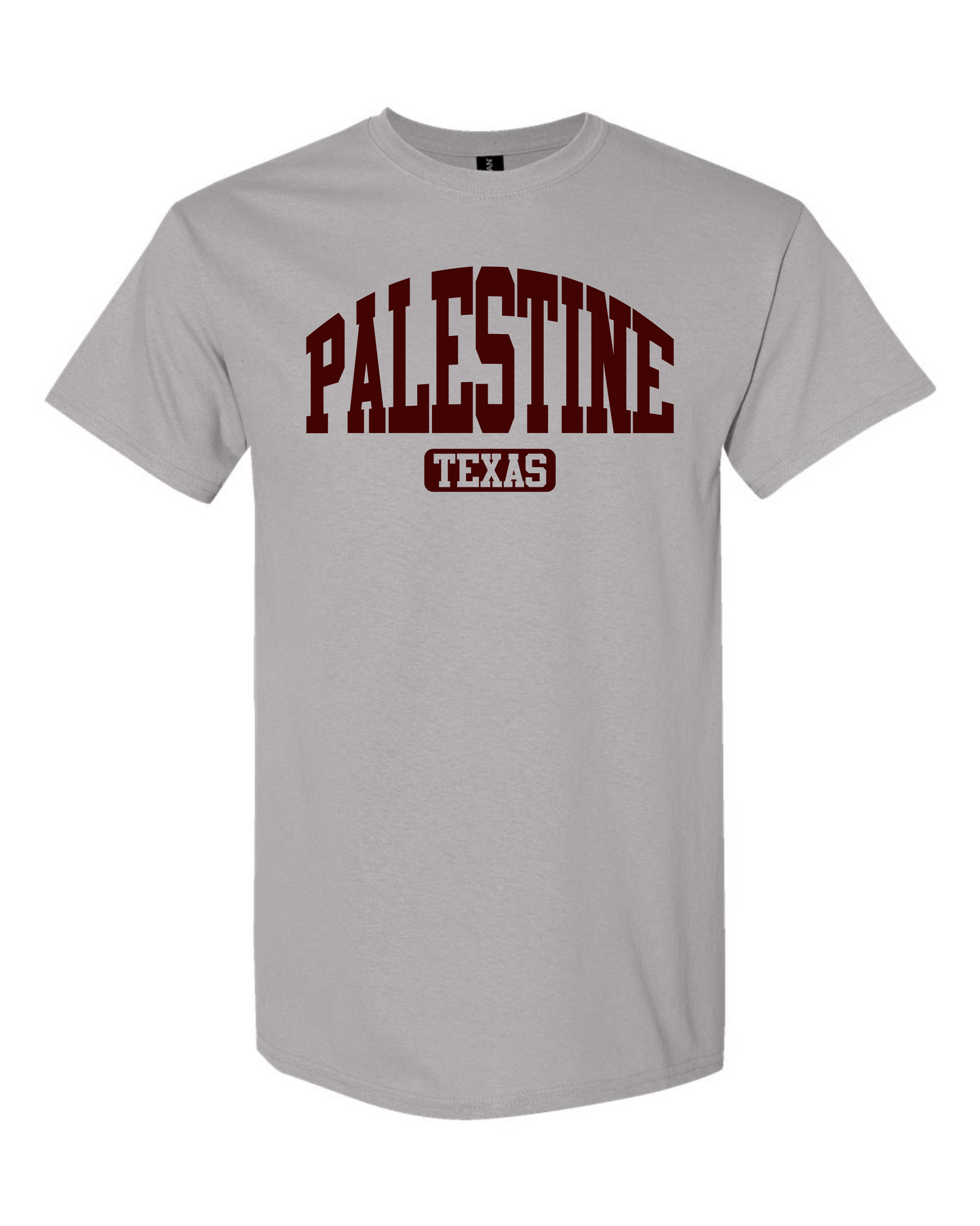 Palestine Texas Mound Graphic Tee
