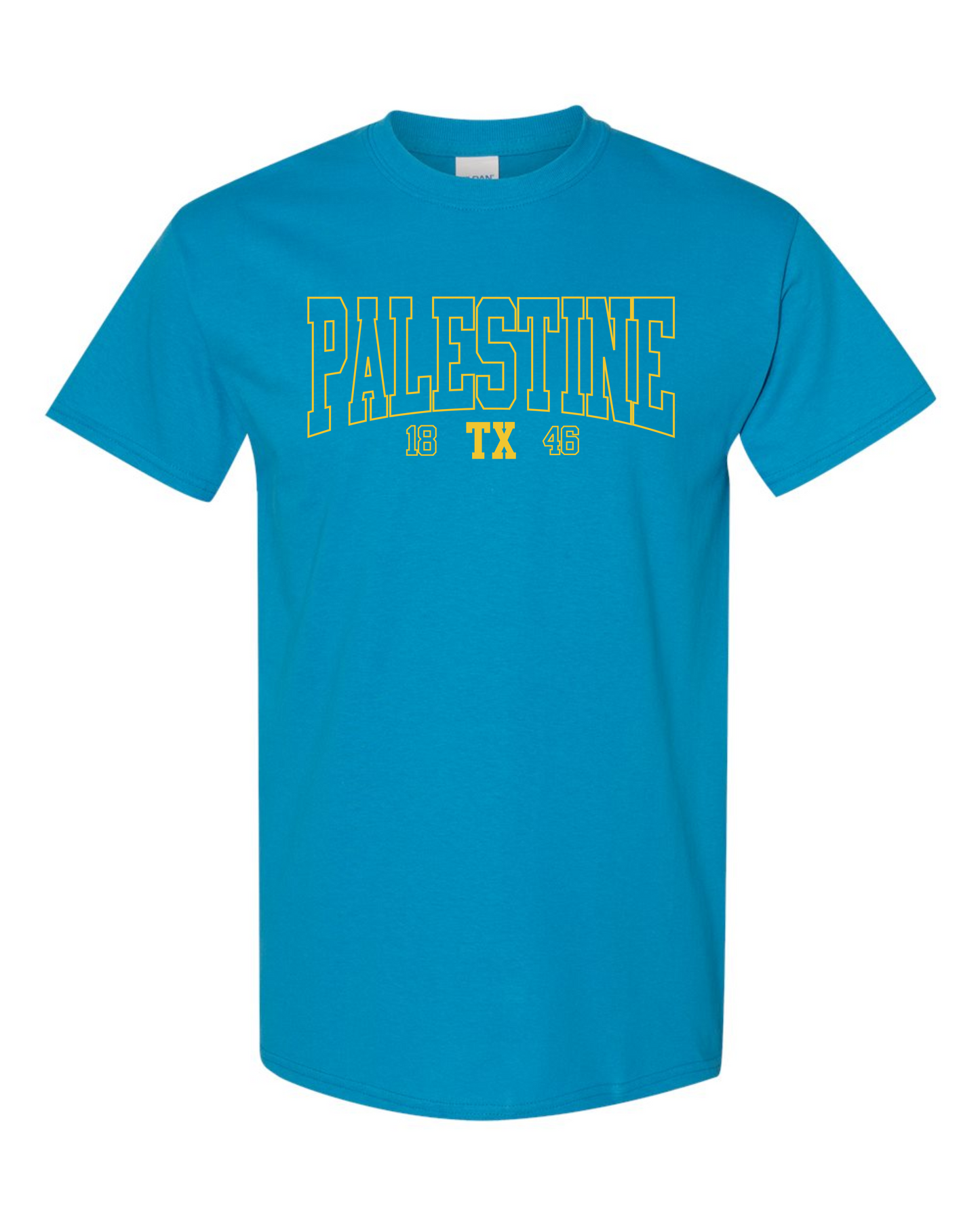 Palestine TX 1846 Graphic Tee - Multicolors