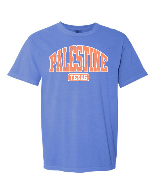Palestine Texas Mound Graphic Tee
