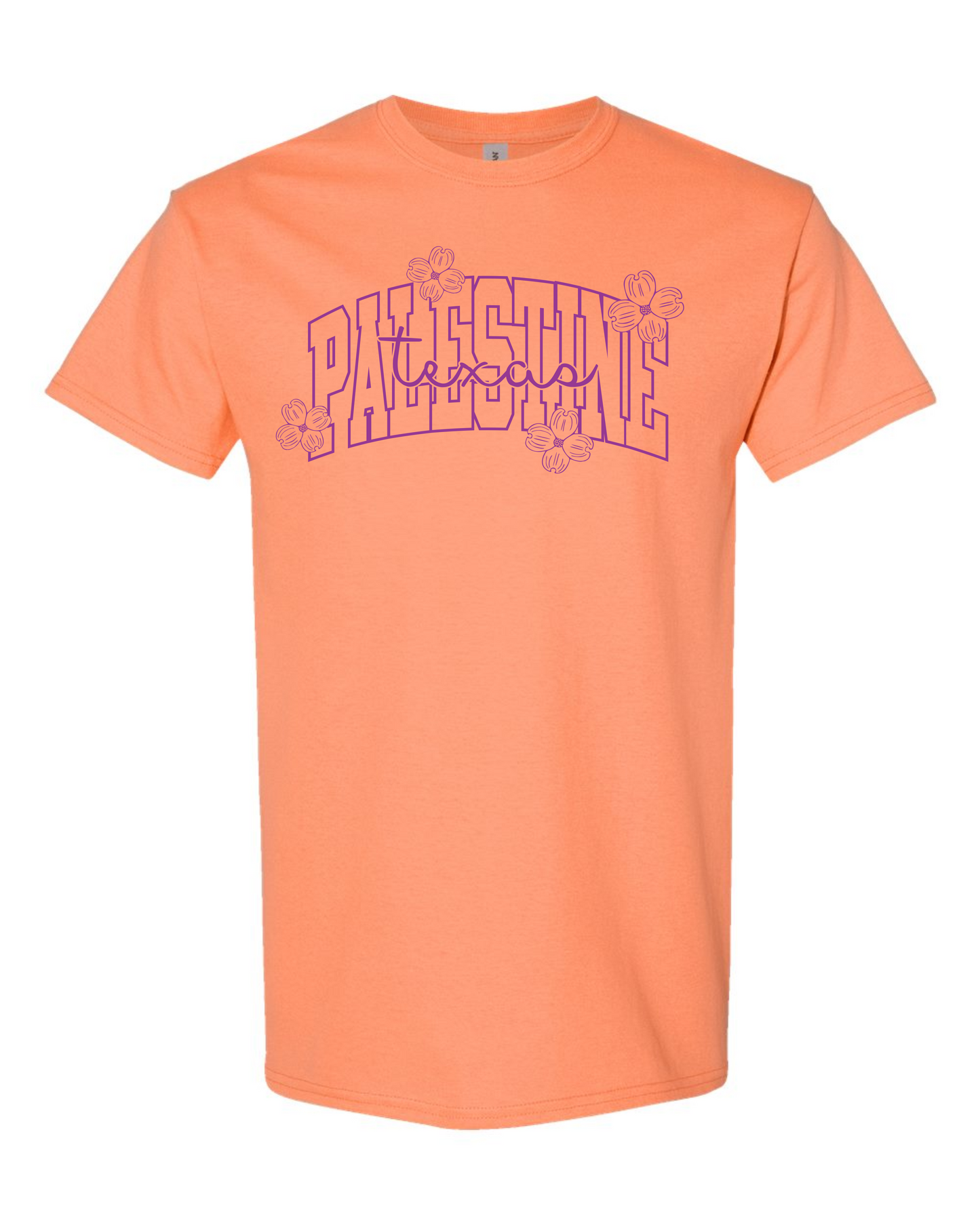 Palestine Texas w/Dogwoods Graphic Tee - Multicolors
