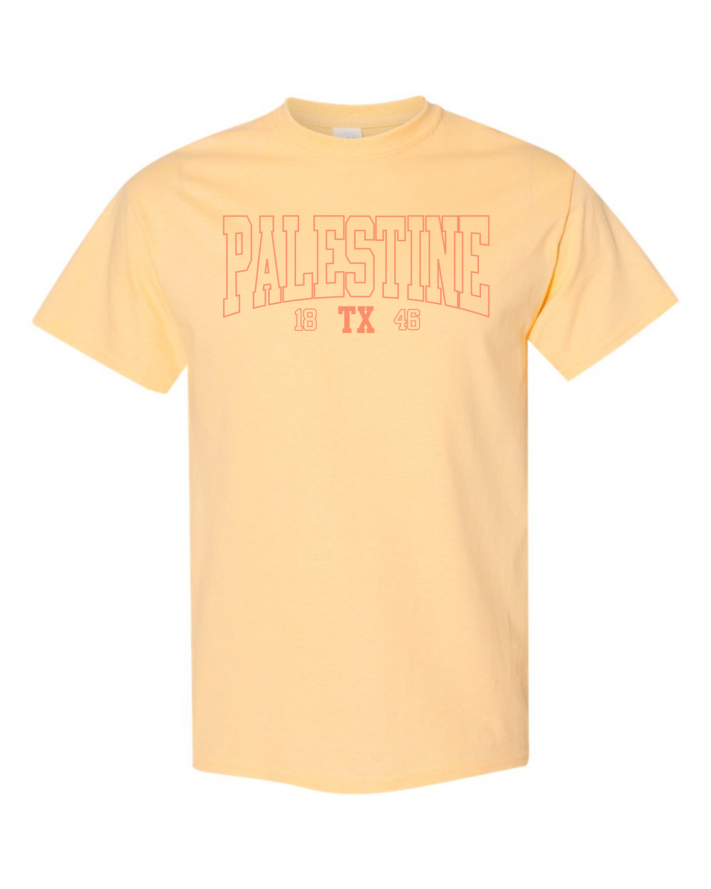 Palestine TX 1846 Graphic Tee - Multicolors