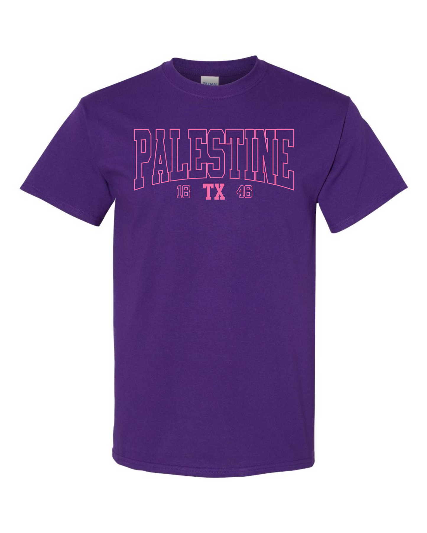 Palestine TX 1846 Graphic Tee - Multicolors